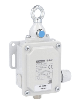 Rope Pull Switch D65 